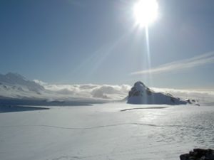 Half Moon Island Antarktis