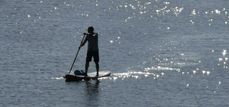 SUP Standup Paddling an Bord der MS Fridtjof Nansen standup paddling