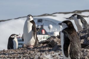 Foto von Andrea Klaussner