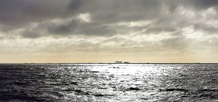 Eisberge am Horizont mit MS Roald Amundsen