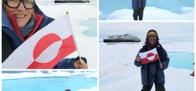 Grönland Flagge, Antarktis Flagge grönland flagge kaufen